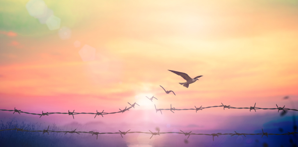Wie emotionale Freiheit gelingt | BLOG Ava Hauser